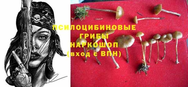 экстази Арсеньев