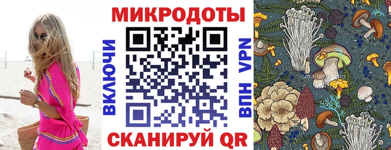 Псилоцибиновые грибы Psilocybine cubensis  Купить  Пенза 